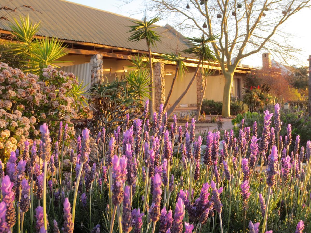 Masada Guest House Langebaan Zewnętrze zdjęcie